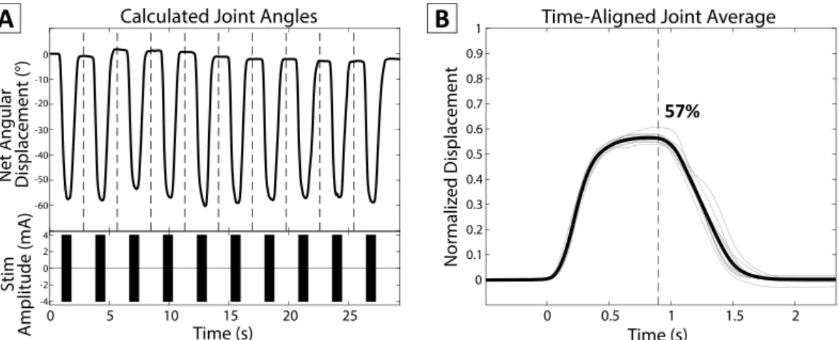 Figure 3.  Sample Joint-Finger Motion Summary. The time-aligned, averaged, and normalized joint angles for  all 14 joints were arranged corresponding to each finger and joint name