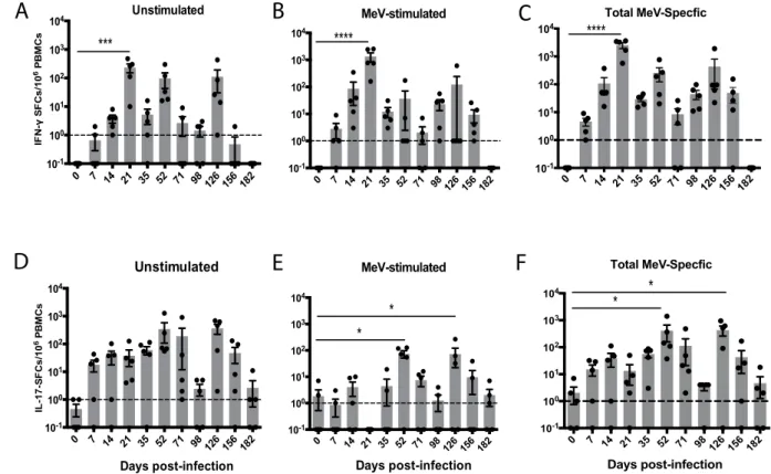 Figure 3.  ELISPOT detection of IFN-γ and IL-17-secreting cells. PBMCs from MeV-infected macaques  were cultured without in vitro stimulation (A,D) or were stimulated with H and N peptides (C) or MeV lysate  (F) and cultured on plates coated with antibody 