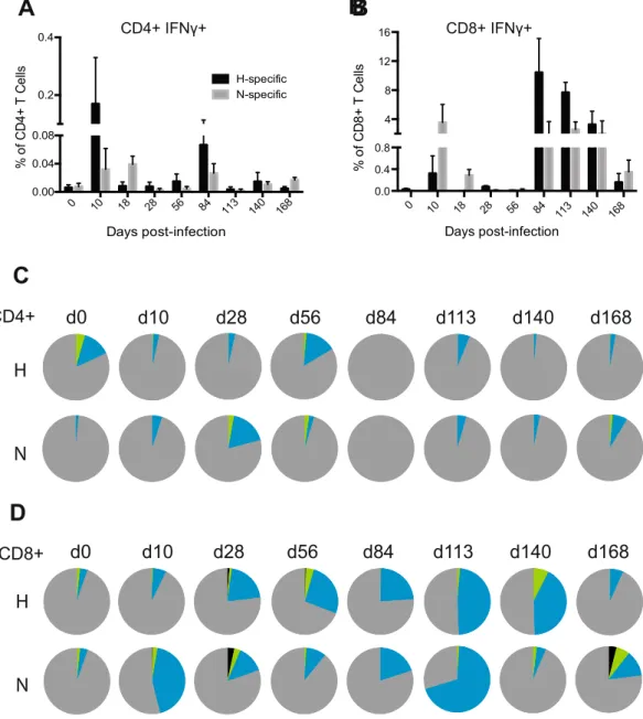 Figure 4.  Assessment of the ability of MeV-specific T cells to produce effector cytokines over time by 