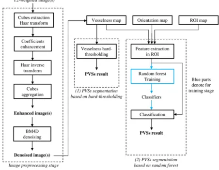 Figure 3.  Framework of the proposed image enhancement (left panel) and PVS segmentation algorithm  (right panel)