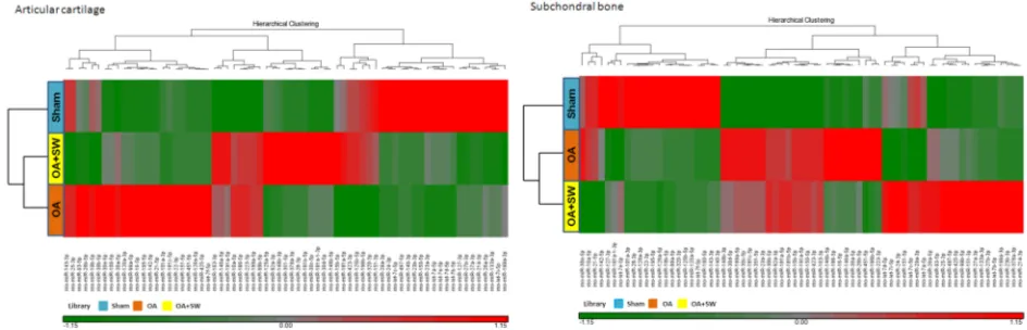 Figure 3: Hierarchical clustering of the miRNA identified in each expression of library pattern from subchondral bone