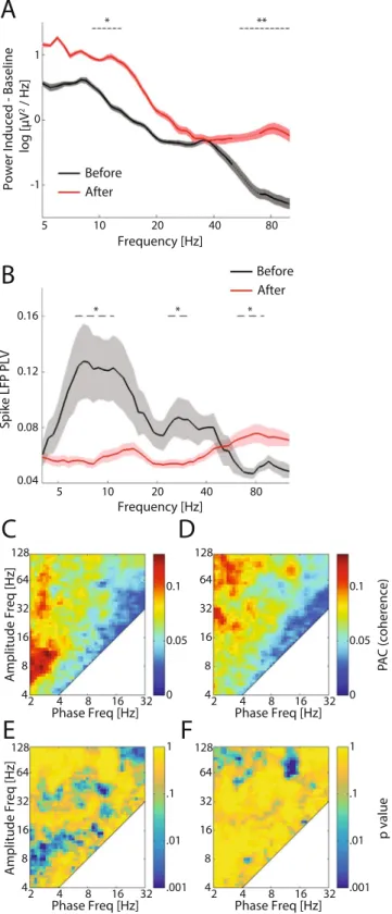 Figure 7.  LFP power, spike LFP phase-locking, and phase-amplitude coupling of visually-elicited responses  before and after eye-opening