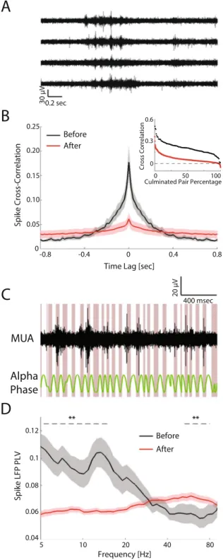 Figure 4.  Synchronization and spike phase-locking of spontaneous activities before and after eye-opening