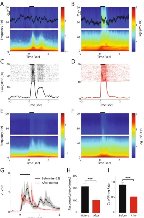 Figure 6.  Visual responses before and after eye-opening. (A,B). Mean spectrograms of example recording  session before (A) and after (B) eye-opening