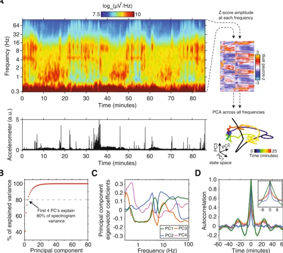 Figure 2.  State-dependent fluctuations in spectral power and projection of neural data into PCA-derived state- state-space