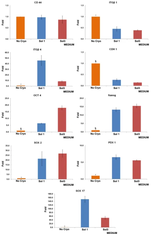 Figure 2.  Expression of pluripotency and molecule adhesion genes in cultures from cryopreserved cells in  solution 1 (Sol1), Sol3, or freshly isolated, that is not cryopreserved (No Cryo) human biliary tree stem cells  (hBTSCs)