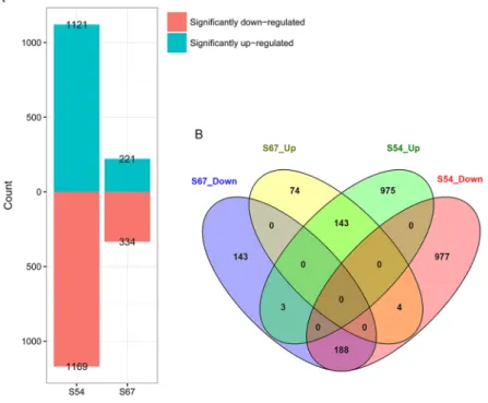 Figure 2.  Differentially expressed genes (DEGs) of S54 and S67 in response to H. glycines infection