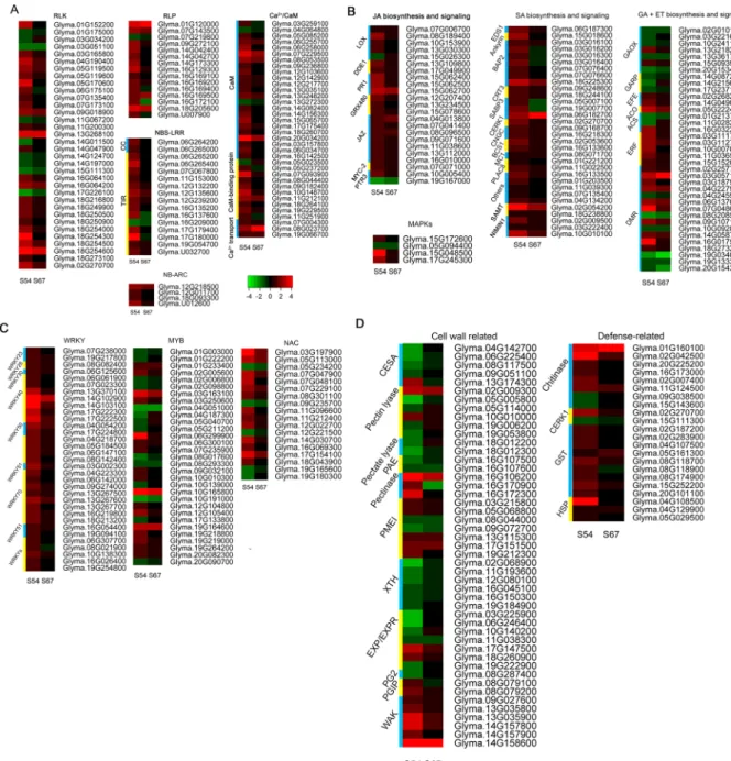 Figure 5.  Heat map illustration of the representative DEGs involved in various defense-related pathways