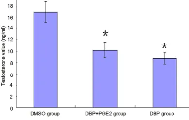Figure 1. Identification and cultivation of testicular leydig cells.