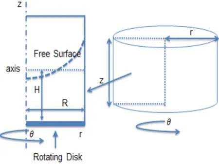 Figure 2.6: HBE cell culture in cylindrical coordinates and reduction from 3D cylinder to 2D rectangular region based on the axisymmetric assumption