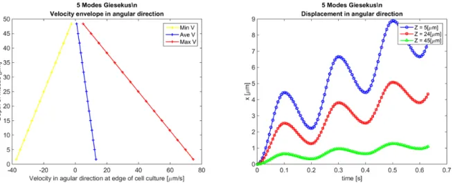 Figure 2.20: Left: Velocity envelopes in angular direction at the edge of cell culture; Right: