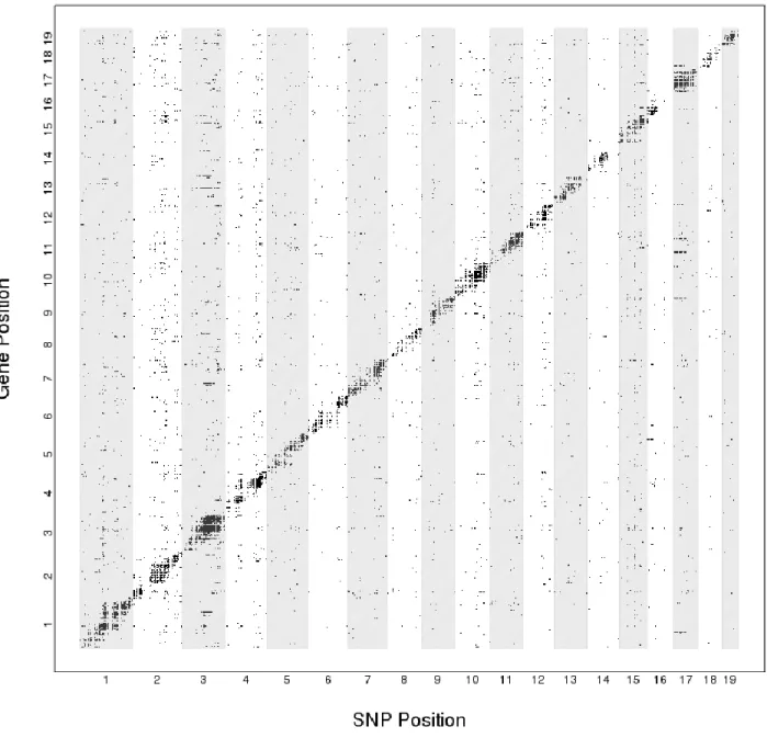 Figure 2.9.  Distal eQTL associations in pre-Collaborative Cross mice. X axis gives the genomic  coordinates of marker SNPs; Y axis represents gene position
