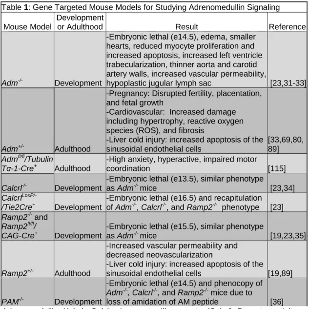 Table 1: Gene Targeted Mouse Models for Studying Adrenomedullin Signaling   Mouse Model 