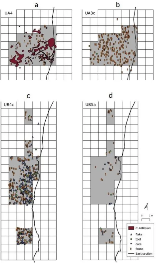 Figure 3: the distribution of the palaeontological and archaeological finds from MAR-1, in a) unit  UA4, b) unit UA3c, c) unit UB4c and d) unit UB5a (after Giusti et al