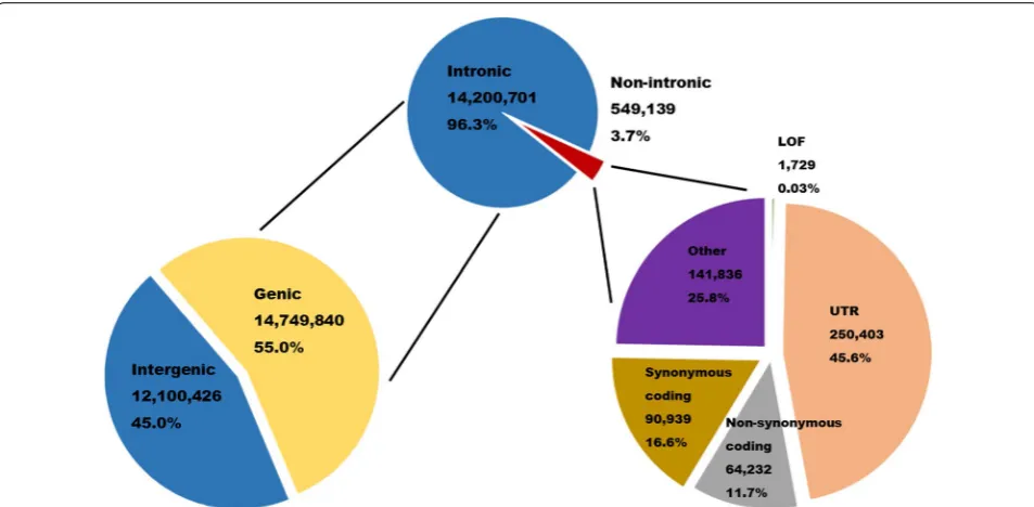 Fig. 1 Overview of the 26,850,263 SNP identified. Here, variant annotations have been collapsed so that each variant has only a single annotation