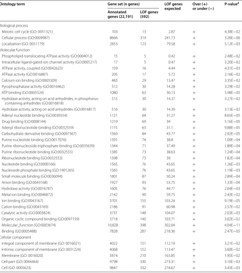 Table 1 Significantly over- and  underrepresented gene ontology (GO) terms in  protein-coding genes with  loss-of-function variants