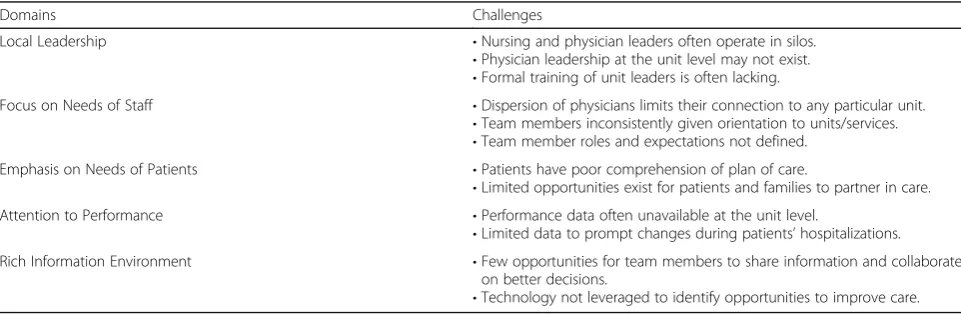 Table 1 Challenges on Medical Services by Microsystem Domain
