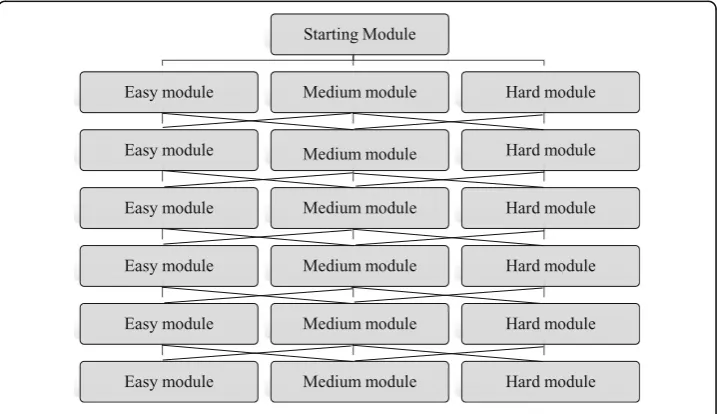 Fig. 1 The model of MSCAT in the present study