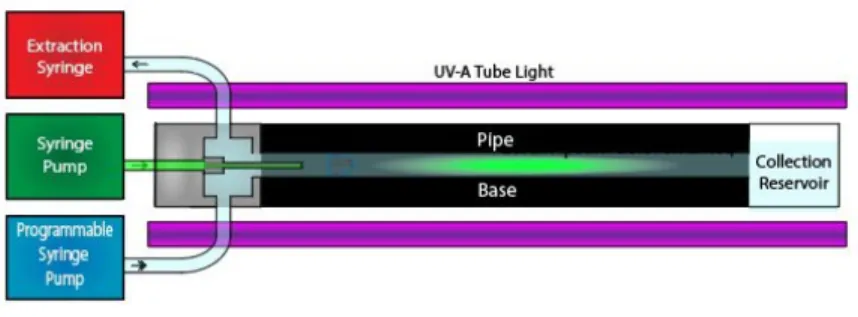 Figure 10.1 shows a schematic of the experimental setup. Notice the presence of two syringe pumps, one programmable to impose the laminar background flow, and one analog to create the initial conditions