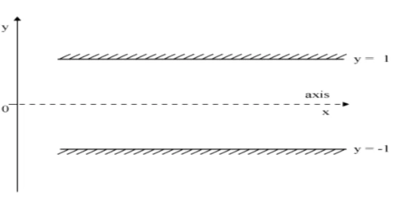 Figure 3.1: Diagram of the infinite parallel plates reference system.