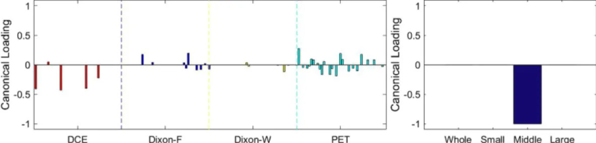 Figure 5.  The 3 rd  canonical component for sparse canonical correlation analysis between microvascular  density and radiomic features (p = 0.044 for z-stat) with spearman correlation coefficient ρ 3  = 0.513