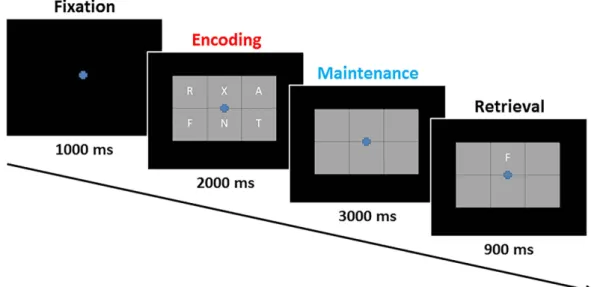 Fig. 1). Participants were instructed to respond with a button press as to whether the probe letter was one of the  six letters previously presented