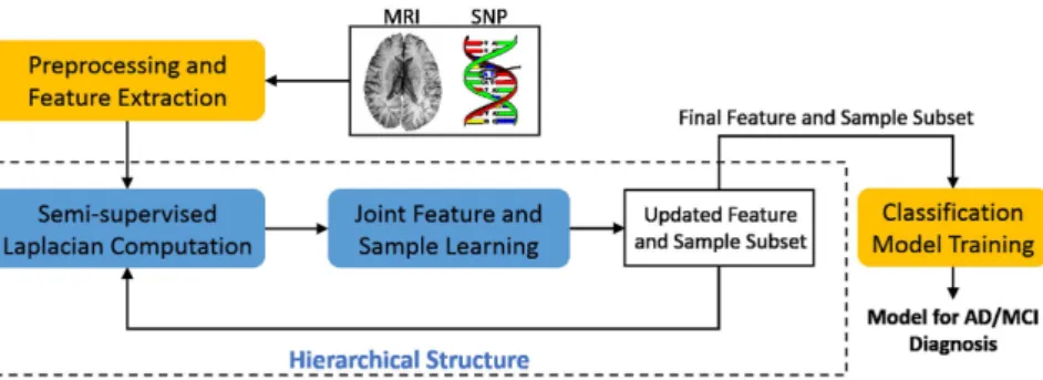 Figure 4.  Framework of the proposed semi-supervised hierarchical multimodal feature and sample  selection (ss-HMFSS) for AD and MCI diagnosis