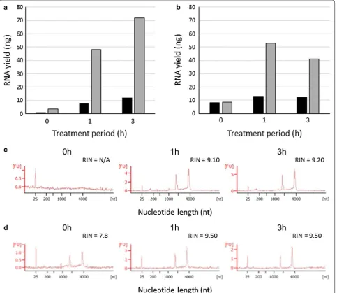 Fig. 1 RNA recovery from filter-trapped K1 cells fixed for liquid-based cytology. RNA was extracted from the fixed K1 cells after incubation with Proteinase K-containing for the indicated periods at 55 °C