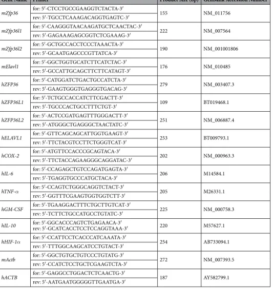 Table 1.  mRNAs Assessed by Real-Time PCR.