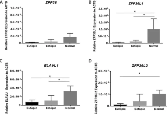 Figure 1.  HuR/TTP axis mRNA levels are altered in patients with endometriosis: RNA binding protein  expression profiles in endometriosis patients and in normal fertile controls
