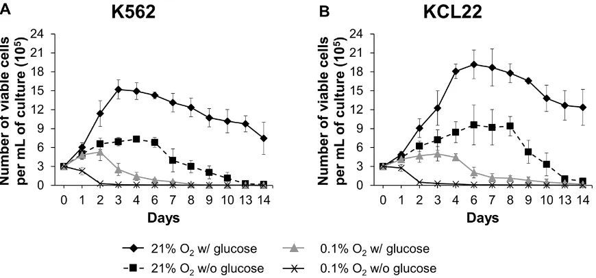 Figure 1: Effects of oxygen and/or glucose shortage on CML cell survival and growth. K562 (A) or KCL22 (B) cells were plated at 3 × 105 cells/mL and incubated at 21% O2 w/ glucose (♦) or 21% O2 w/o glucose (■), or at 0.1% O2 w/ glucose (▲) or 0.1% Ow/o glu