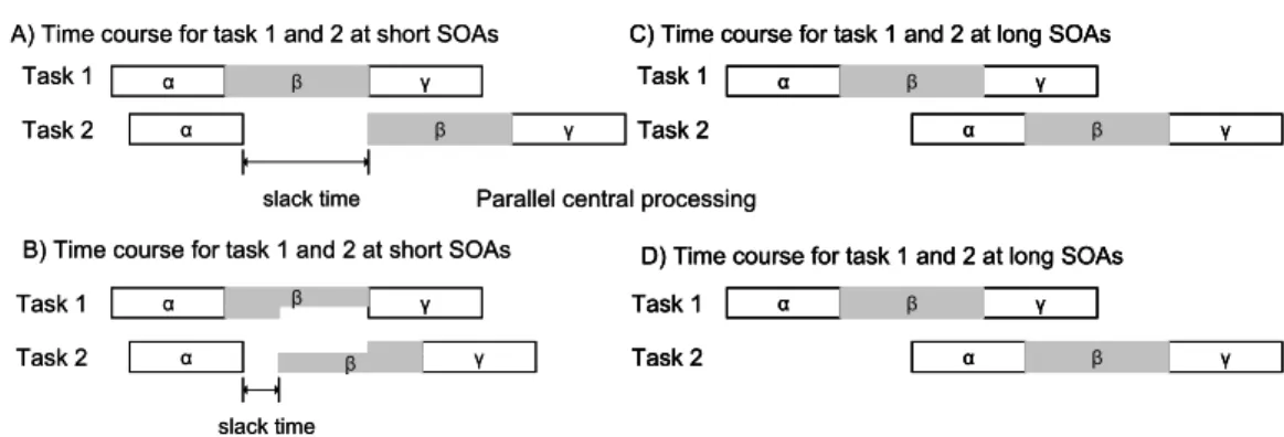 Figure 1.6. An overview of the time course of the serial processing model and the parallel processing  model for short and long SOA 