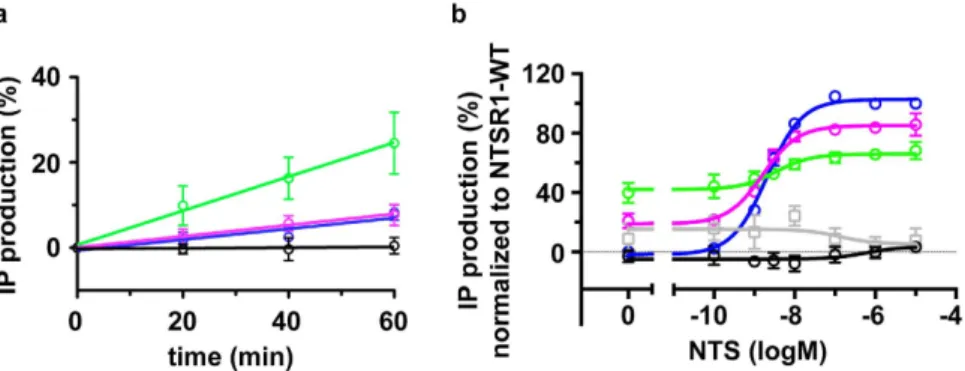 Figure 1.  Constitutive activity of NTSR1-EL. HEK293T cells were transfected with the respective NTSR1  constructs, or with the pcDNA3 plasmid as control
