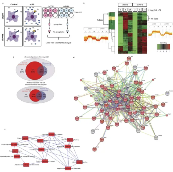 Figure 4.  PHF8 regulates a broad range of the extracellular functions of acute LPS-stimulated  macrophages through modulating the LPS-induced secretion of specific class of proteins