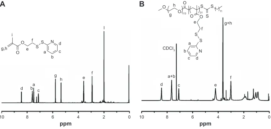 Figure 4 Size distribution and morphology of NCM  and CCM.Notes: Size distribution and morphology of NCM (A) and CCM (B) measured by DLS and TEM.Abbreviations: DLS, dynamic light scattering; TEM, transmission electron microscope; NCM, noncross-linked micelle; CCM, cross-linked micelle.