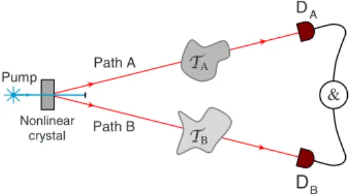 FIG. 1. 共Color online兲 Layout of a typical SPDC experimental setup. An optically pumped nonlinear crystal emits photon pairs that propagate along path A and B through the scattering devices T A and T B , respectively
