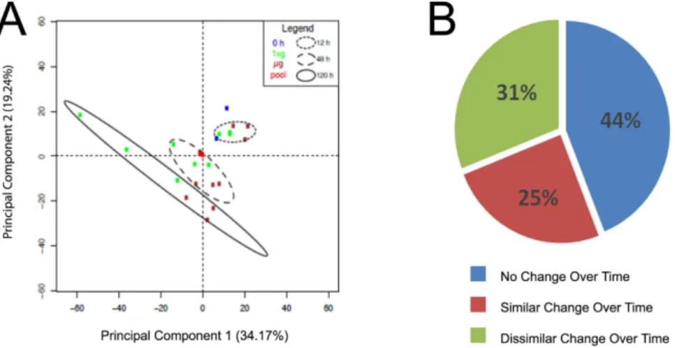 Figure 3.  Protein turnover is diminished in microgravity. (A) A statistical box plot for the precursor  amino acid ‘pool’ RIA calculated using the I H /I H  and I H /I L  forms of the double-lysine containing peptide  EATNPPIIQEEKPK from Protein Disulfide