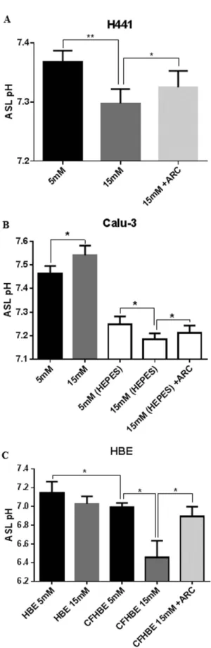 Figure 5.  Hyperglycaemia induces MCT-dependent ASL acidification in airway epithelial cultures lacking  CFTR-dependent bicarbonate secretion