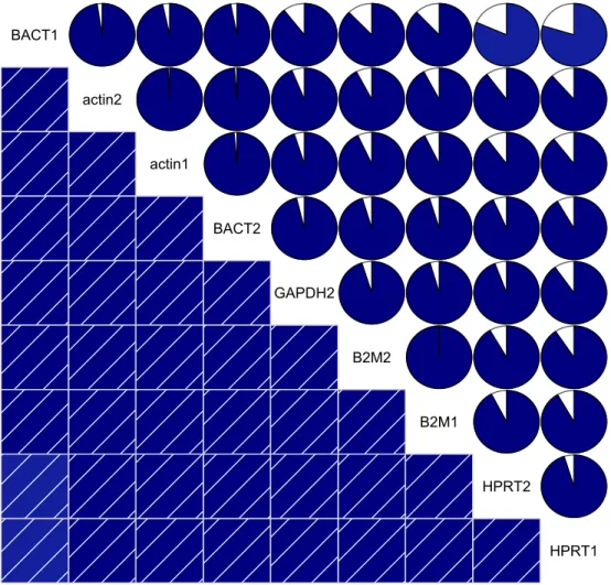 FIGURE 3.3: Correlation of Reference Genes  BACT1 actin2 actin1 BACT2 GAPDH2 B2M2 B2M1 HPRT2 HPRT1