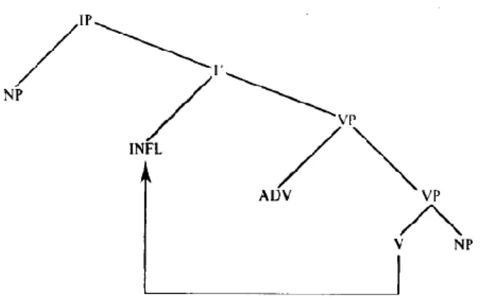 Figure 1 Arbre syntaxique illustrant le déplacement du verbe en INFL 