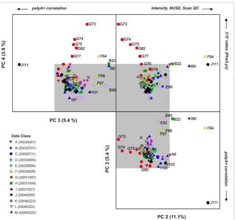 Figure 4 Unfolded 3-D PCA scores plot (PC 2 × PC 3 × PC 4) for the external spike-in polyA+ controls subset of the rat datasetSymbols represent the date class (A - M; see legend).