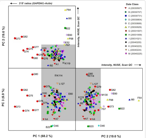 Figure 5 Unfolded 3-D PCA scores plot (PC 1 × PC 2 × PC 3) for the internal cRNA degradation controls subset of the single Ratdataset