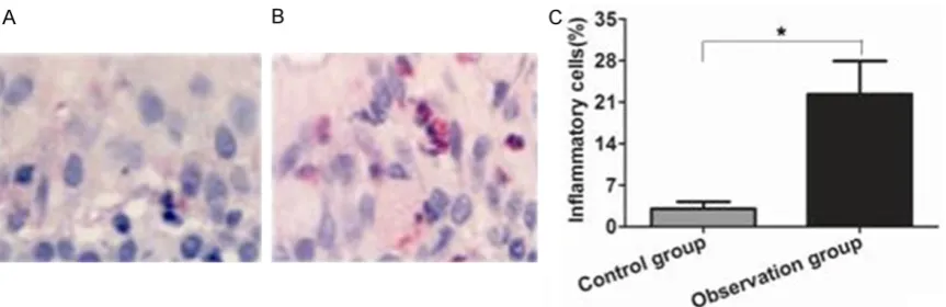 Figure 3. Comparison of inflammatory cells infiltration in nasal mucosal tissue between two groups