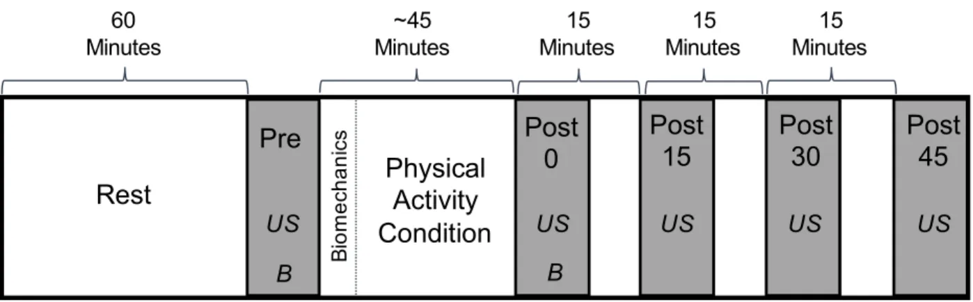 Figure 16: Within study design for the walking, drop-landing, and control conditions. 