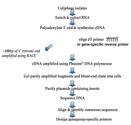 Figure 5.1.  Flow-chart of sequencing methods.