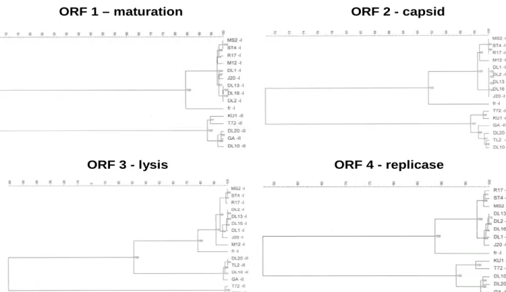 Figure 5.4 (A) Phylogenetic analysis of each protein: Levivirus I, II.