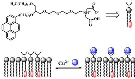 Figure 1.9. Metal ion sensor based on the switching of the monomer–excimer equilibrium of a pyrene  moiety  in  a  neutral  liposome