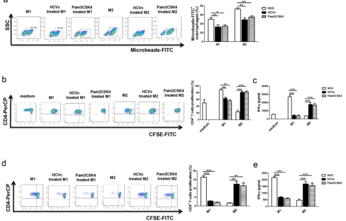 Figure 6.  HCVc inhibits the functions of M1 and M2 macrophages. (a) Purified monocytes from healthy  individuals were polarized to M1 and M2 macrophages in the presence or absence of HCVc or Pam3CSG4,  FITC-microbeads were then added to culture for 1h