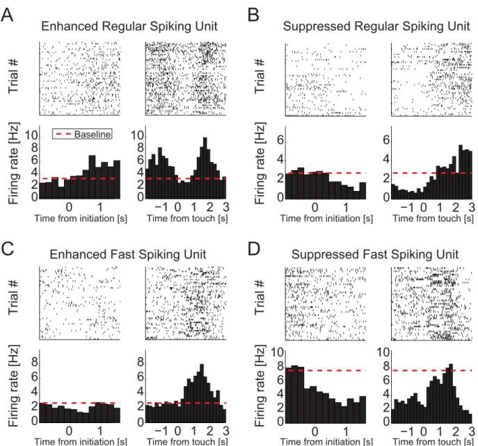 Figure 3.  Dynamics of task-modulated single units. Rasterplots and corresponding raw FR PETHs of  example task-modulated SUs