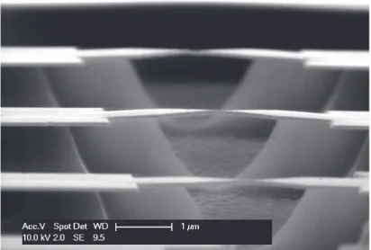 Figure 1. Scanning electron micrograph of a typical lithographic MCBJ sample.